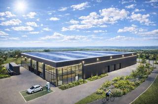 Gewerbeimmobilie kaufen in 87787 Wolfertschwenden, Neubau | Gewerbehalle mit Büro ab 1.000 m² | Top-Lage direkt an der A7 / A96