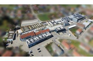 Gewerbeimmobilie kaufen in 78564 Wehingen, Großflächiger Industriekomplex mit Verwaltung, Lager, Hochregallager und Produktionshallen