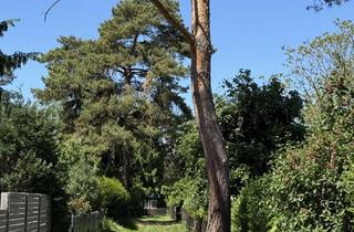 Grundstück zu kaufen in 16348 Marienwerder, Wochenendgrundstück mit Häuschen in Ruhlsdorf sucht liebevolle Familie