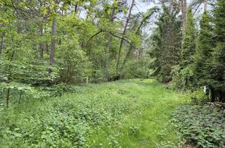 Grundstück zu kaufen in Eichhornweg, 30900 Wedemark, Idyllisches Natur-/Freizeitgrundstück (2.429 m²) mit altem Baumbestand in reizvoller Lage
