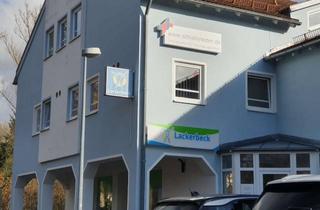 Gewerbeimmobilie kaufen in Auwiesenweg 19, 94209 Regen, Büroeinheit zu verkaufen oder zu vermieten
