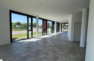 Büro zu mieten in 32758 Detmold, Helle und moderne Bürofläche zu vermieten