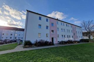 Wohnung mieten in Pillaustr., 38126 Braunschweig, In 2 Zimmern leben, von Grün umgeben.