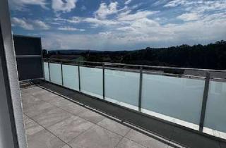 Penthouse mieten in 78315 Radolfzell, Einzigartiges Penthouse mit großzügiger Dachterrasse in Radolfzell