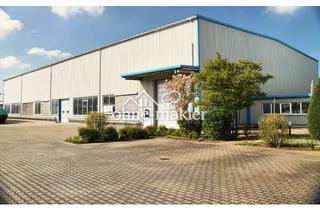 Büro zu mieten in 64584 Biebesheim, Halle mit 900 qm 9m hoch mit 126qm Büro Für Sport nicht geeignet.
