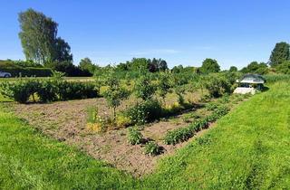 Immobilie mieten in Krautergersheimer Platz, 76889 Kapsweyer, Gartengrundstück in Ortsnähe zu verpachten / bei Kapsweyer