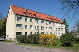 Anlageobjekt in 04749 Ostrau, Mehrfamilienhaus in Ostrau nahe Chemnitz & Dresden: Kapitalanlage, 15 WE + 15 Garagen, Vollvermietet