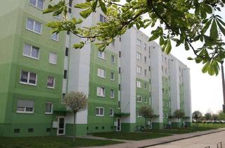 Wohnung mieten in Martin-Niemöller-Straße, 06406 Bernburg, 2-Raum-Wohnung mit Dusche und Aufzug