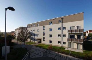 Wohnung mieten in Am Römerbrunnen, 65479 Raunheim, moderne 2-Zimmer-Wohnung in Raunheim /barrierearm