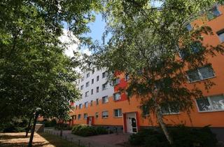 Wohnung mieten in Straße Der Völkerfreundschaft 124, 06886 Lutherstadt Wittenberg, Erdgeschoßwohnung sucht Mieter!