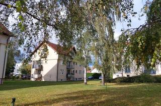 Wohnung mieten in Ahornstr., 14550 Groß Kreutz, 1 Zi.Wohnung mit Balkon in ruhiger Wohnanlage mit viel Grün in Groß Kreutz.