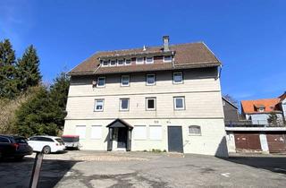Wohnung mieten in Bodestr. 7a, 38700 Braunlage, 2-Zimmer Wohnung mit neuer Einbauküche