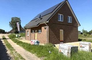 Haus mieten in Kirchwerder Hausdeich 127a, 21037 Hamburg, Modernes 5 Zi.-Neubau EFH mit LWP und Terrasse und Gartenbereich