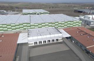 Gewerbeimmobilie mieten in Im Grund, 91593 Burgbernheim, Moderne Lager /Logistik / Produtionshallen