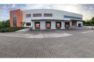 Gewerbeimmobilie mieten in 99869 Tüttleben, 3100m² Lagerhalle mit LKW-Rampen und Sozialbereich