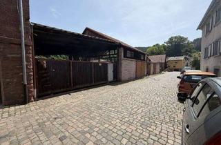 Gewerbeimmobilie kaufen in 67471 Elmstein, Großzügige Halle mit vielseitigem Nutzungspotenzial