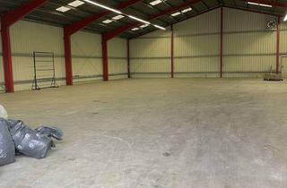 Gewerbeimmobilie kaufen in 67271 Mertesheim, Renditestarkes Gewerbe-Areal in Mertesheim: 3 Hallen, Büro & Wohnhaus | 7,45% Rendite auf 4.390 m²