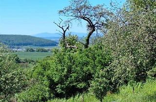 Grundstück zu kaufen in 63654 Büdingen, Traumhaftes Panorama-Grundstück mit Feldberg-Blick im Rhein-Main Gebiet