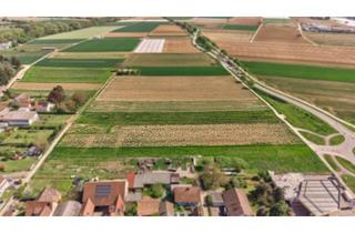 Grundstück zu kaufen in 76879 Hochstadt, Familienfreundlich bauen – Modernes Wohnen im Neubaugebiet von Hochstadt
