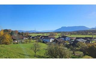 Grundstück zu kaufen in 83416 Saaldorf-Surheim, Malerisches Baugrundstück mit Möglichkeit zur Pferdehaltung - flexible Grundstücksteilung möglich
