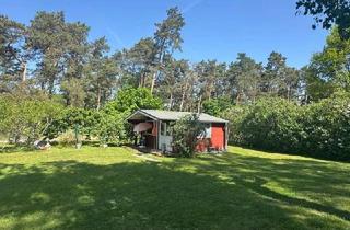 Grundstück zu kaufen in 17375 Ahlbeck, Erholungsrundstück an der Waldkante Stettiner Haff