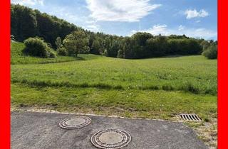 Grundstück zu kaufen in 31079 Sibbesse, Baugebiet im Dornröschenschlaf