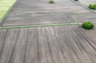 Immobilie kaufen in 26725 Stadtzentrum, Landwirtschaftlicher Betrieb in Ostfriesland