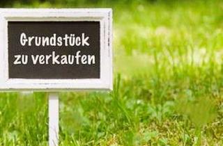 Gewerbeimmobilie kaufen in 76887 Bad Bergzabern, Großzügiges landwirtschaftliches Ackerland in Bad Bergzabern – 1.231 qm