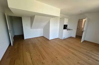 Wohnung mieten in 93053 Galgenberg, Neubau an der Uni - Erstbezug - 31,5 qm - Domblick