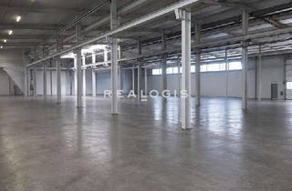 Büro zu mieten in 27283 Verden, Verden, ca. 2.000 m² Lagerfläche mit Bürofläche im Zentrum von Verden zu vermieten
