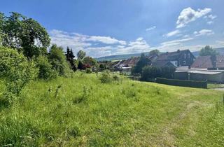 Grundstück zu kaufen in 31084 Freden, Baugrundstück mit Traumausblick! Ruhe, Raum und Weitblick!