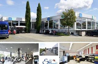 Gewerbeimmobilie kaufen in 65428 Rüsselsheim, Platz für Visionen: Repräsentative Gewerbeeinheit (714 m²) auf Riesen-Grundstück in Königstädten