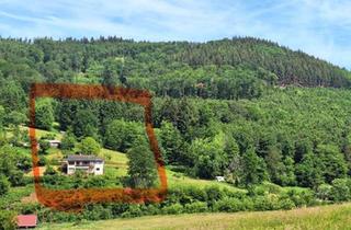 Haus kaufen in 77955 Ettenheim, Ettenheim - Charmantes Haus in Traumlage am Rande von Ettenheimmünster