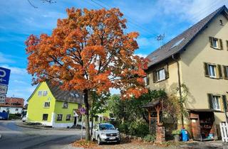 Haus kaufen in 71563 Affalterbach, Affalterbach - gelegenheit in affalterbach.haus mit 3 wohnungen 2350m2 platz