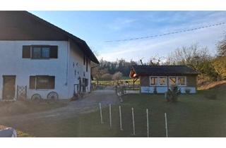 Haus kaufen in 94327 Bogen, Bogen - EFH - mit viel Platz für Kleingewerbe Hobbies Tierhaltung