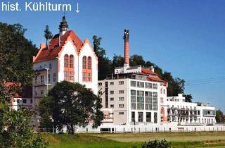 Loft kaufen in 79359 Riegel, Hübsches, bezugsfreies 2-Zimmer-Loft im hist. Kühlturm der ehem. Riegeler Schlossbrauerei