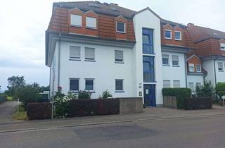 Wohnung kaufen in Germersheimer Straße 110, 67354 Römerberg, Alltagstaugliche 3 Zimmer in Römerberg