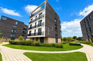 Wohnung mieten in 29221 Celle, *Barrierefreie 2-Zimmer Premium-Wohnung im Neubau Allerinsel!*