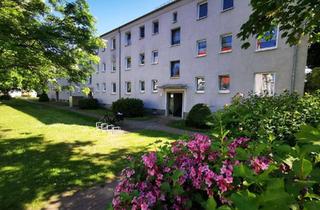 Wohnung mieten in Gorkiweg 10, 18273 Güstrow, 3 Raum Wohnung in ruhiger Wohnlage