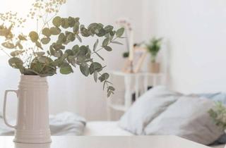 Wohnung mieten in 63322 Rödermark, Neuwertige 3-Zimmer Wohnung mit Südbalkon