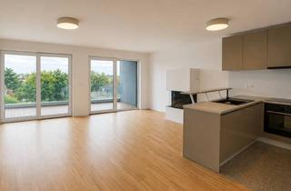 Wohnung mieten in Oberschelder Weg 27, 60439 Heddernheim, 4 - Zimmer Wohnung - Skyline Terrasse mit Blick auf Frankfurt