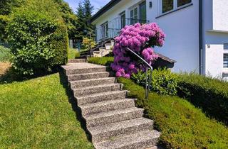 Wohnung mieten in 53639 Königswinter, Helle, gemütliche 3ZKDB mit eigenem Eingang in ruhiger Lage! 120qm, neues Bad, Terrasse, Garage...