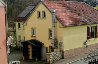 Haus kaufen in Hauptstraße 20, 95183 Trogen, Großes Wohnanwesen mit parkähnlichem Grundstück