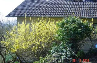 Haus kaufen in Wochenendgebiet Falkenstein, 67808 Falkenstein, Wochenendhaus/Zweitwohnsitz