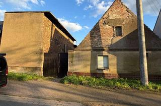 Bauernhaus kaufen in 06780 Zörbig, Bauernhaus auf 2600 m² Grundstück in Ortsrandlage - provisionsfrei
