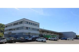 Büro zu mieten in 79585 Steinen, Große Lagerhallen mit Büroflächen – flexibel einzeln vermietbar