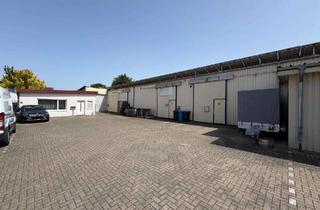 Gewerbeimmobilie kaufen in 46348 Raesfeld, Gewerbehallen mit Einfamilienhaus und Büro in Raesfeld