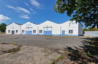 Gewerbeimmobilie kaufen in Industriestraße 12, 39418 Staßfurt, Lager-und Logistikhalle mit Büro - ca. 8.352 m2 - Vermietung möglich