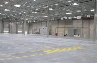 Gewerbeimmobilie mieten in 34270 Schauenburg, Perfekt angebundener Logistikstandort am GVZ Kassel