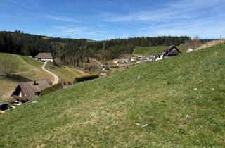 Grundstück zu kaufen in 78148 Gütenbach, Attraktives Baugrundstück im Schwarzwald - Naturnah mit Panoramablick!